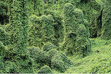 《死亡空间：重制版》8分钟演示 恐怖再度升级